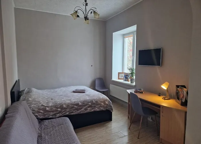 Small And Cozy Studio Flat